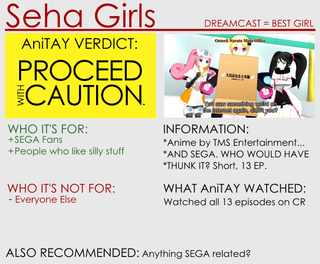 Illustration for article titled Hi☆sCoool! SeHa Girls: The Ani-TAY Review